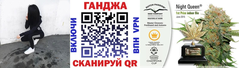 Шишки марихуана планчик Дно